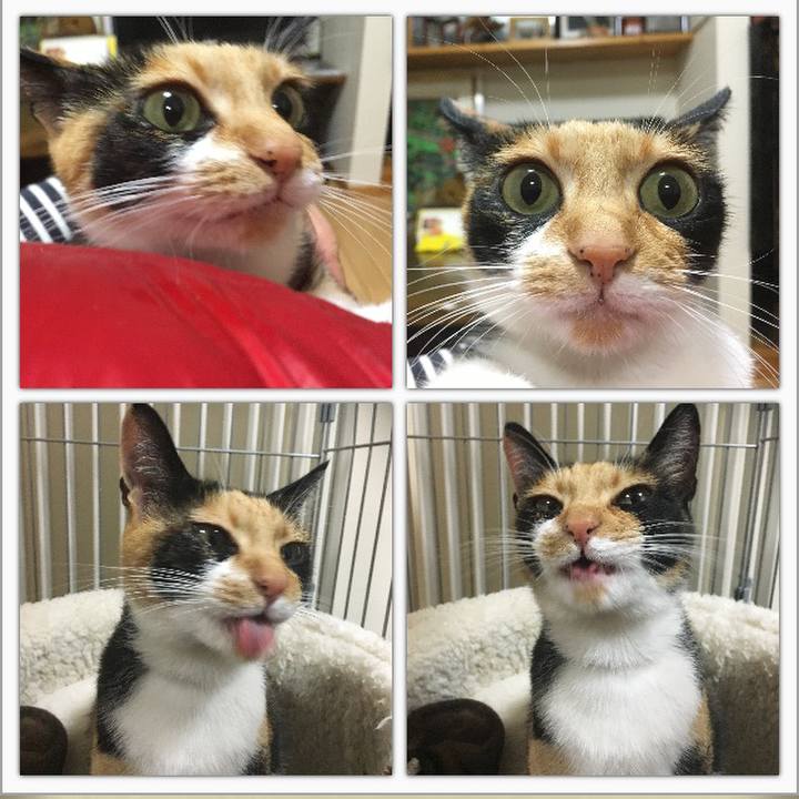 B52f6524 a46e 4b12 840b dd6e24e66caf