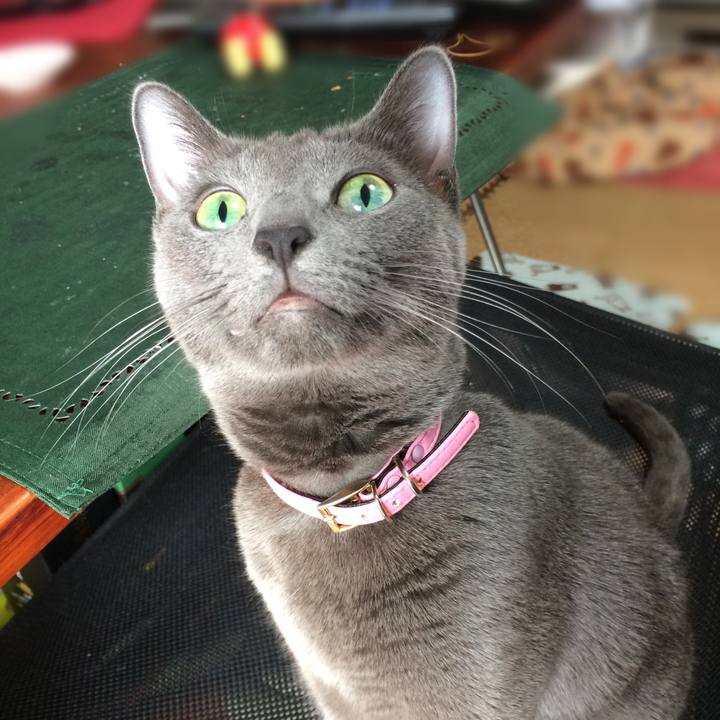 B5300917 f723 4429 85be b67bd0f9dbcc