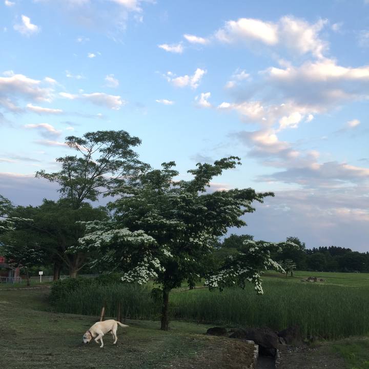 B5302c16 9a95 4d90 a92e eafab781c9dc