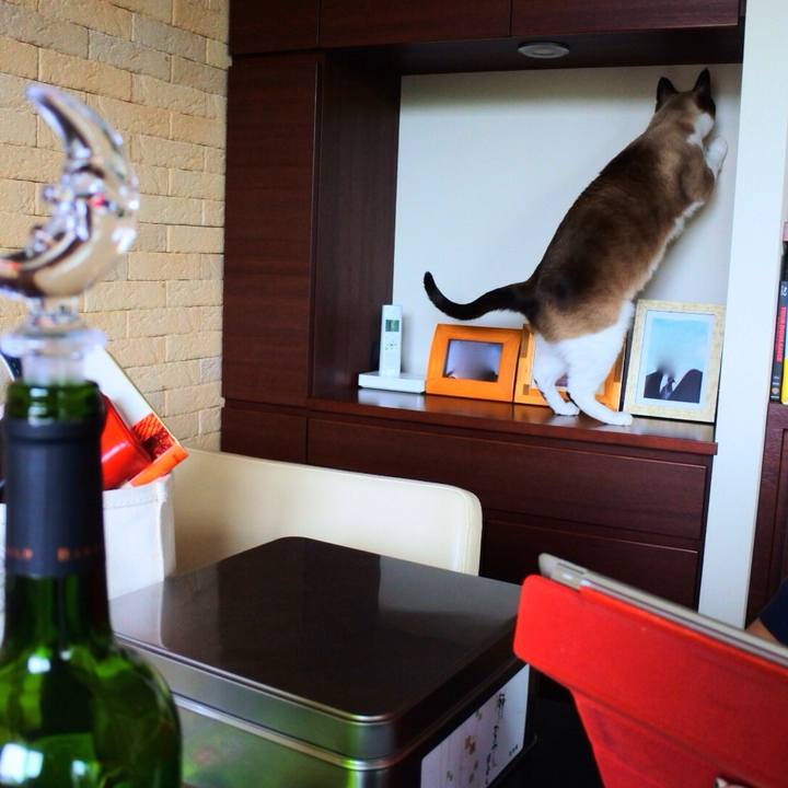 B5308ac7 e9f7 4ff8 94ec f6575bc3fd16