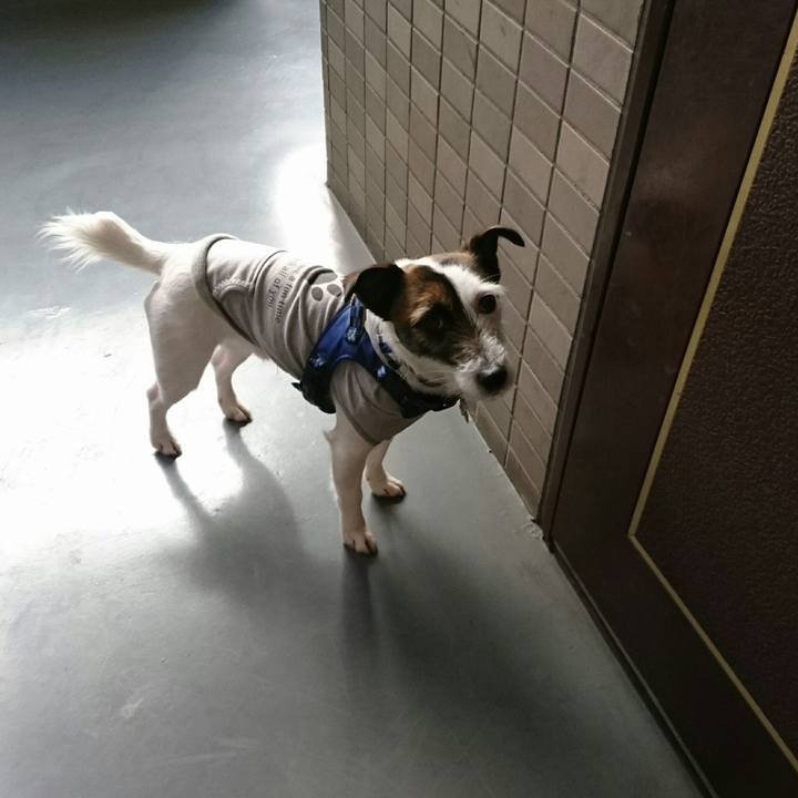 B530fd65 1421 4810 993d 5d8dde13dcbb