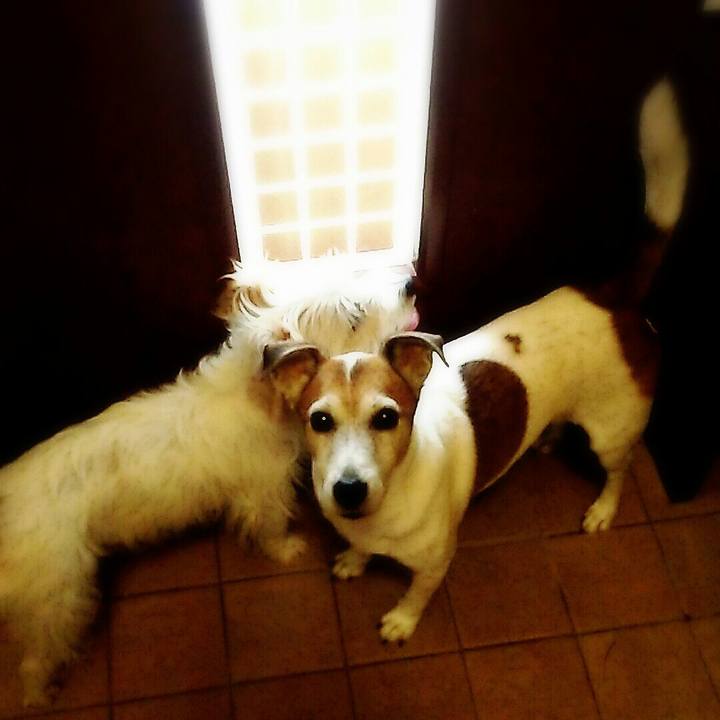 B531fda9 f382 4cff 80a6 69a039a65908