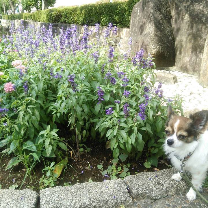 B5329316 18bd 49c5 86f8 1ad0dea42575