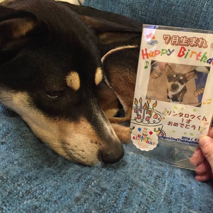 B532ad86 2c18 4dc5 ab54 b1a7050b422e