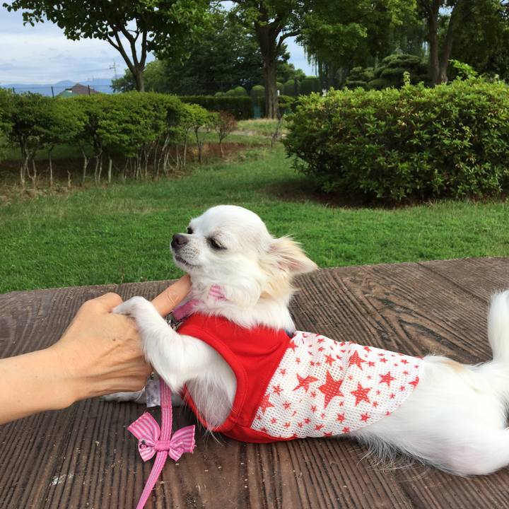 B53428d6 5678 4bf6 a7cf 4077e74019ca