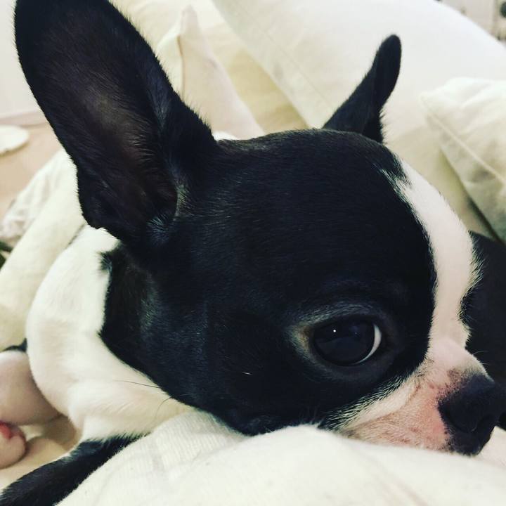 B53438ee 90ba 439e b83d 21739d75cb9e