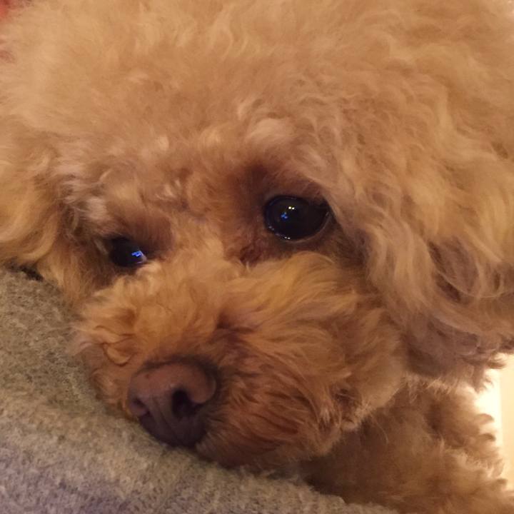 B53447ca eacb 4fc8 9916 d57609d8c67f