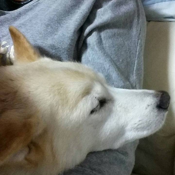 B534a994 1417 4f8a a441 4441479175cf