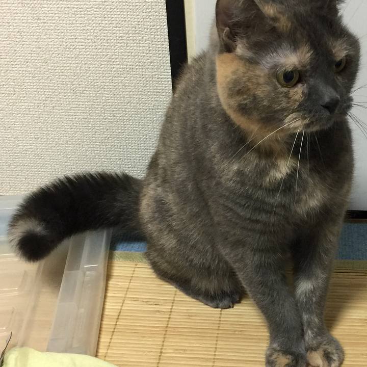 B534f853 8c81 43fc b5fd d0a2354585f8