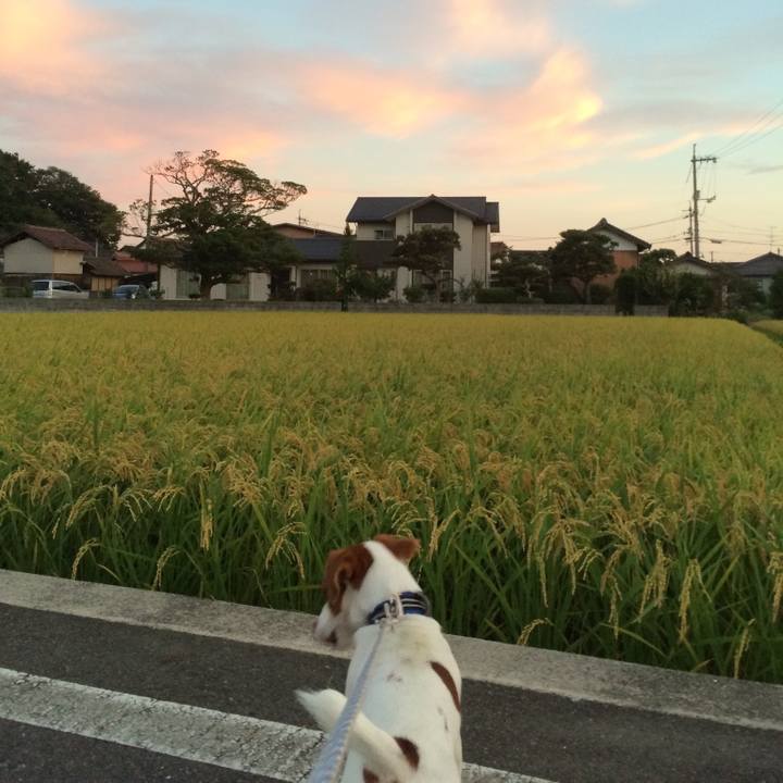 B5350d29 085a 42f5 96c3 f75ae3bfa0d3