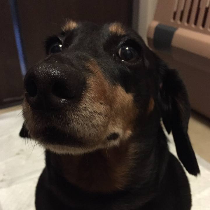 B5355fa0 be29 4428 8027 608dfd960f8c