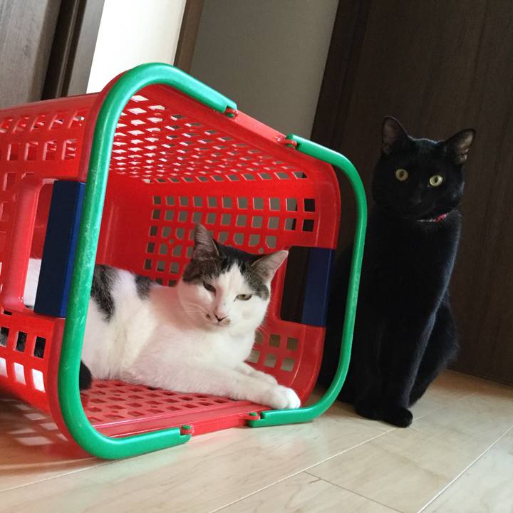 B5363b47 9d91 49f2 9786 493001702ca9