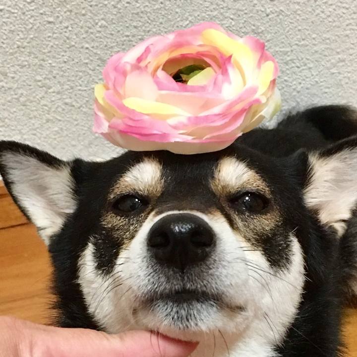 B53686a5 7c79 48a8 ae9b dc3d04741fff