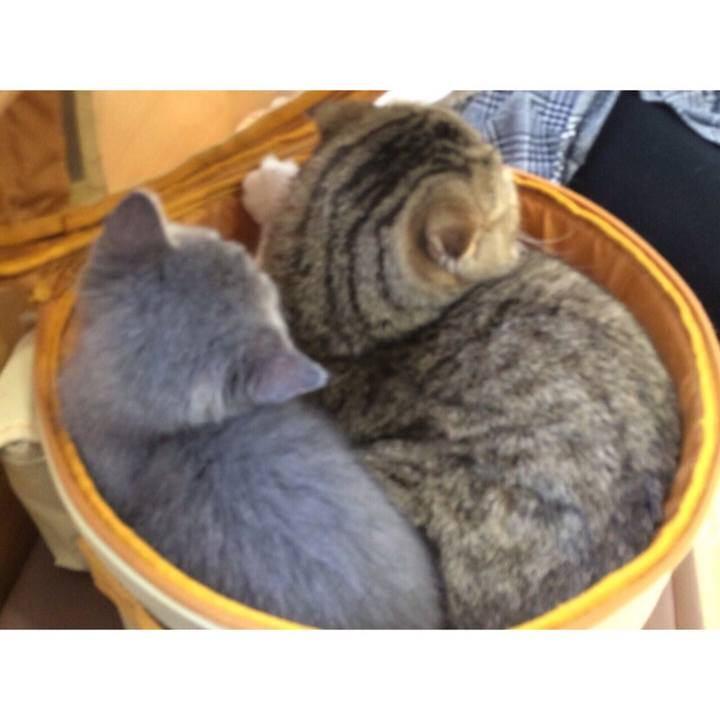 B53696fd 8d14 4d21 aa7b c6bdb7396b6a