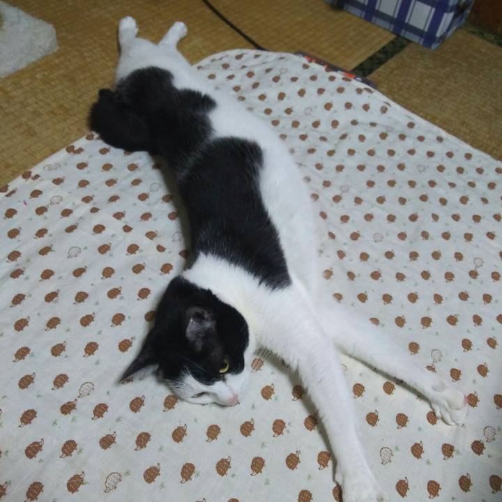 B536a47d 8d66 465c b7a6 8d7c2bd8ce32