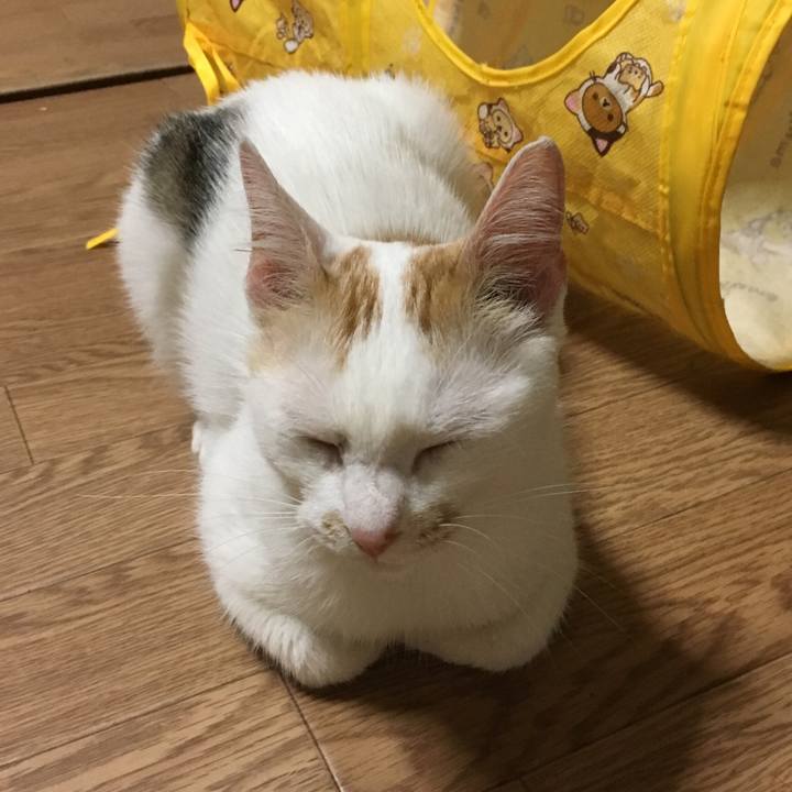 B537d9e9 70ab 4304 93af 2f1a569fb40d