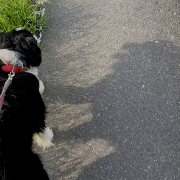 B537ddf6 d676 44cc 9a77 33d45c3c756a