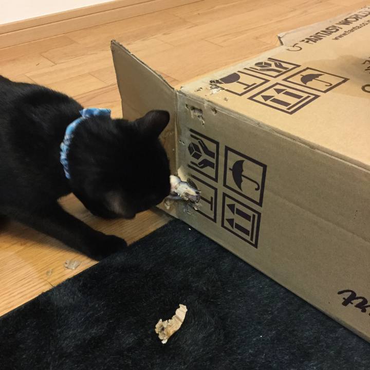 B5380750 5d90 4c0a 8aeb 153b3957f537