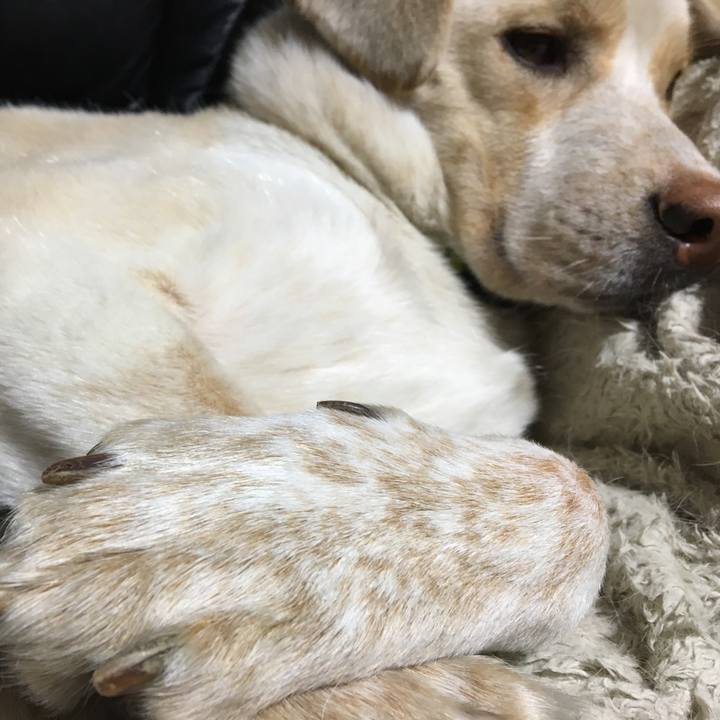 B5384a57 6811 4d96 b0c9 12b2a6f5b379