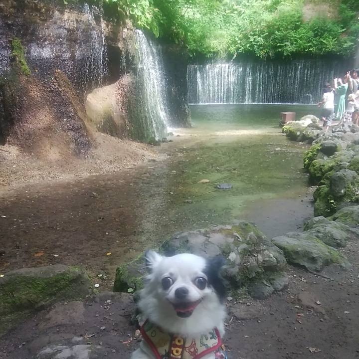 B539e3e2 7606 4e98 9e63 19524cc188f6