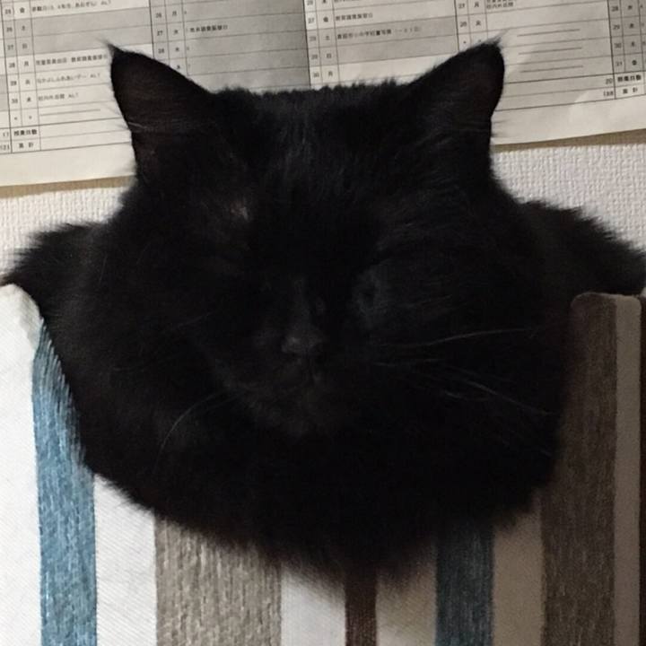 B53a5598 74e2 4bfb 9f2a 2a19cb2c7a4b