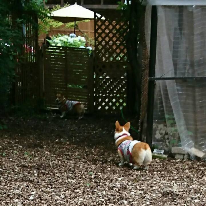 B53aa528 5f98 44f4 83a4 001cfd693ba8