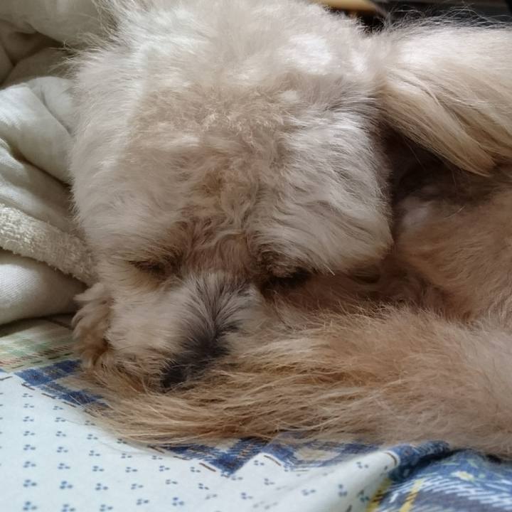 B53b2c10 01ed 4ea7 bfcf ed816d0ccce1