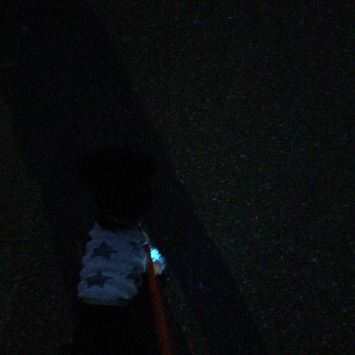 B53b843d 1545 446a a337 54fb119853c0