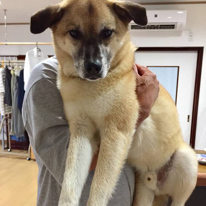 B53be0b3 e338 45f4 afcc 0a9029b43a41