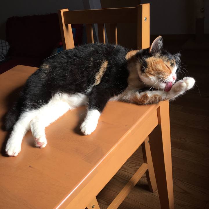 B53c9384 a3f3 4e9a abb1 f286db68833e