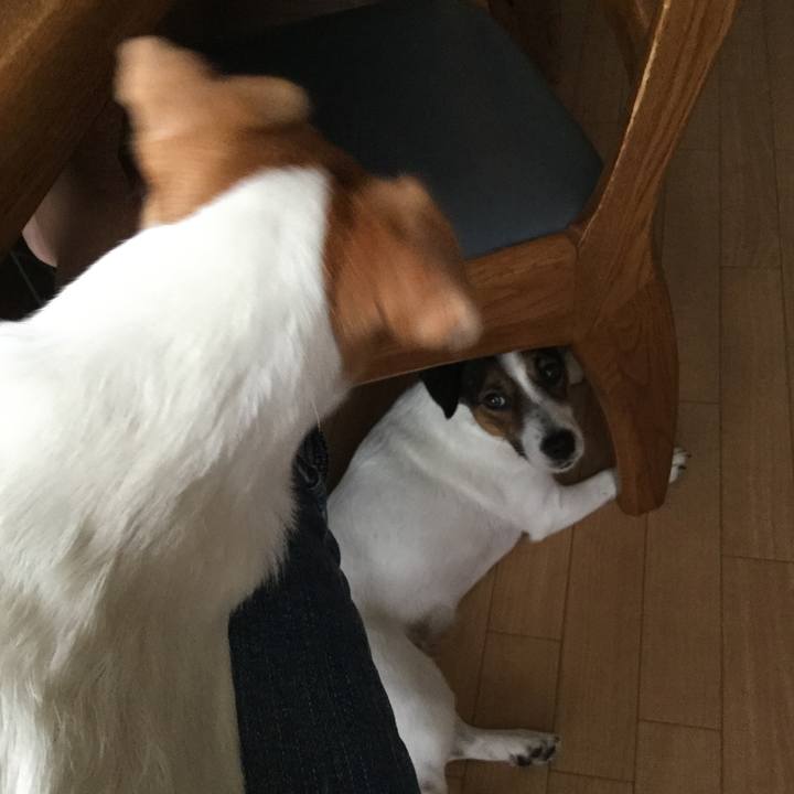 B53c9cd7 5b9f 4d31 9a88 f0297912e90f