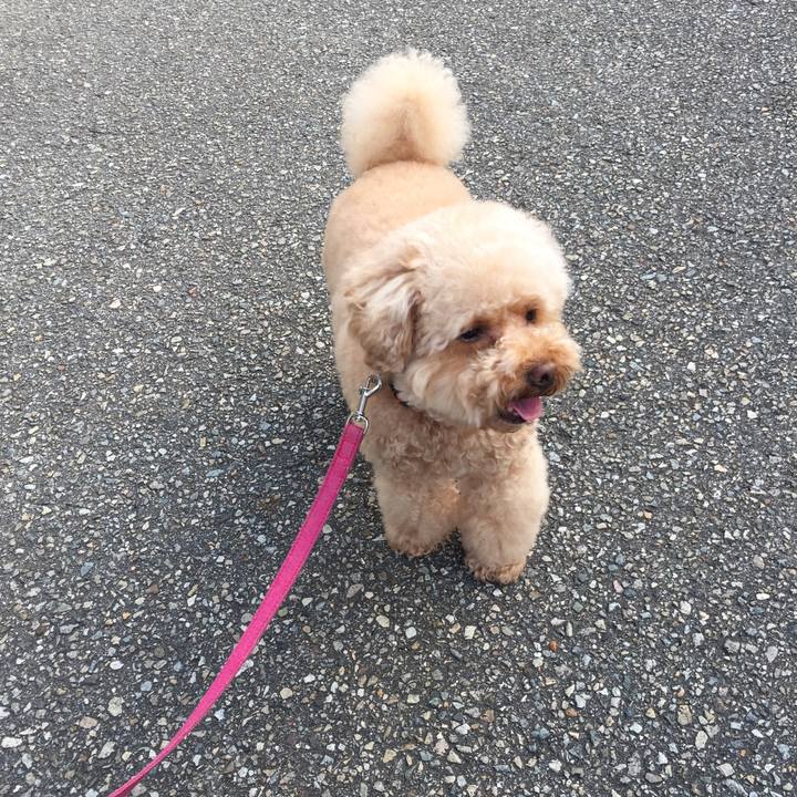 B53cdd2a 3c50 4b97 a8dd 8b537770ba5a