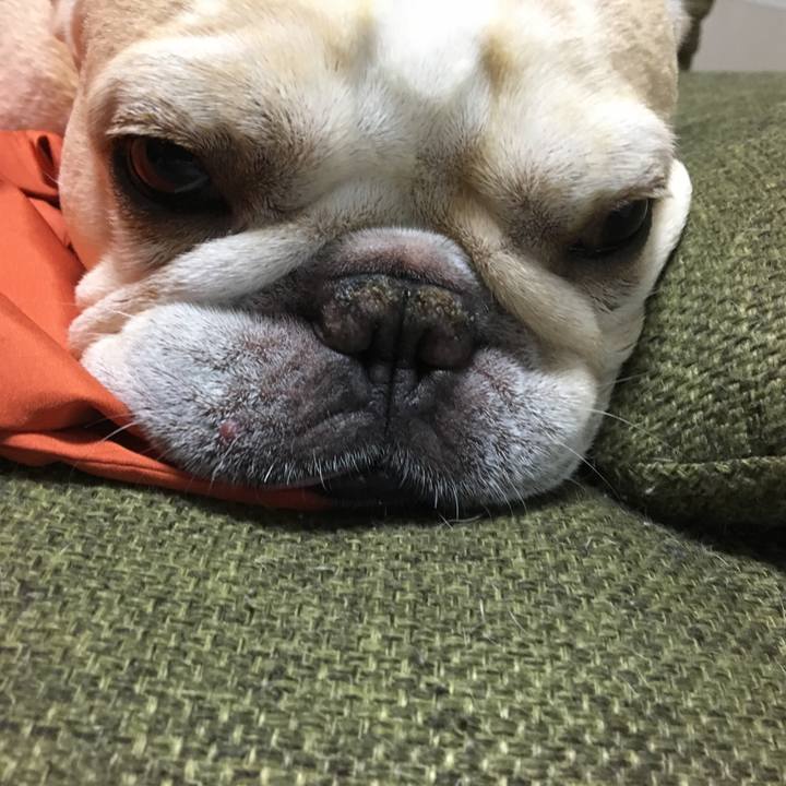 B53cecfd 7e7a 46c5 8df9 bfbe9014f593