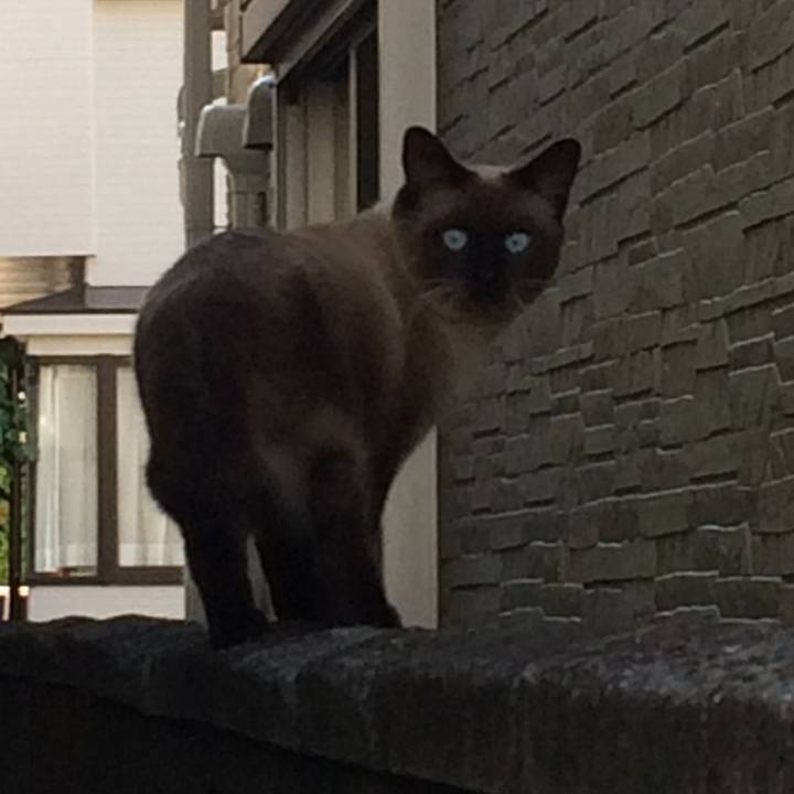 B53d15ea 19c3 4068 b16e aaa00a936164