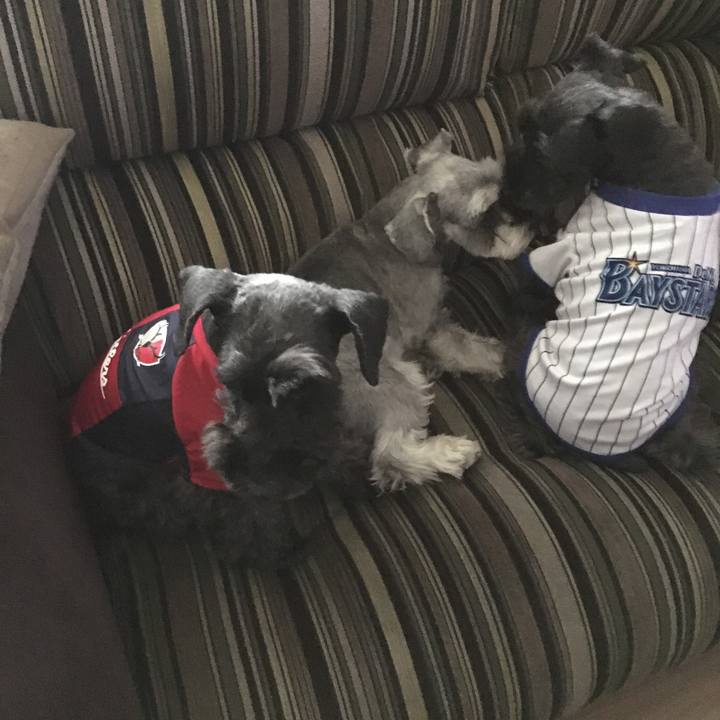 B53d3a33 6fb9 44dd b9c6 4a33f837b4d6