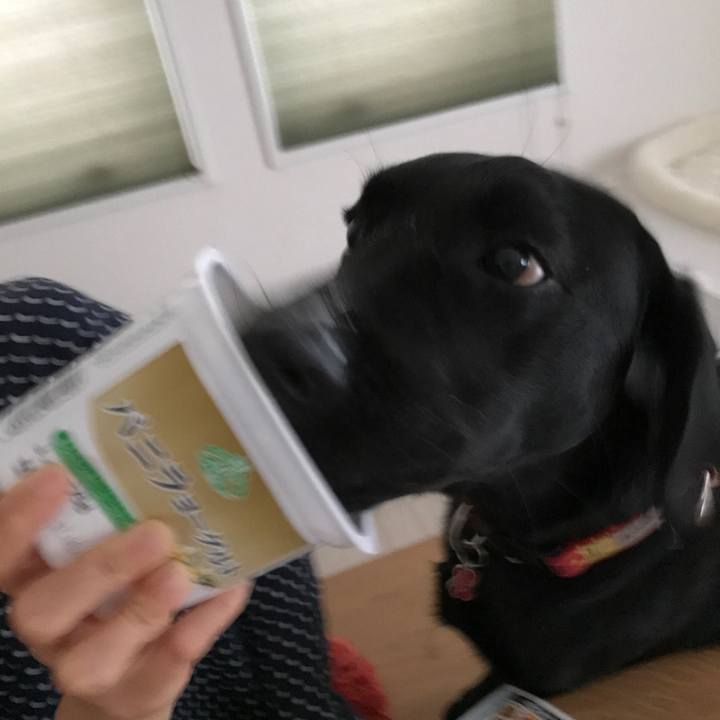 B53dea30 2b70 4e18 922f ee4f27b872c7