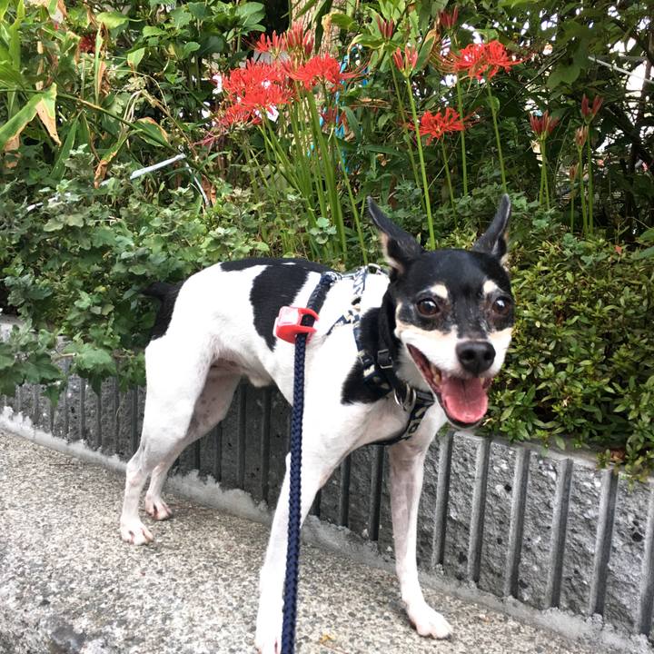 B53ef414 e02c 4f4d 90ee fd6a1a724bbc