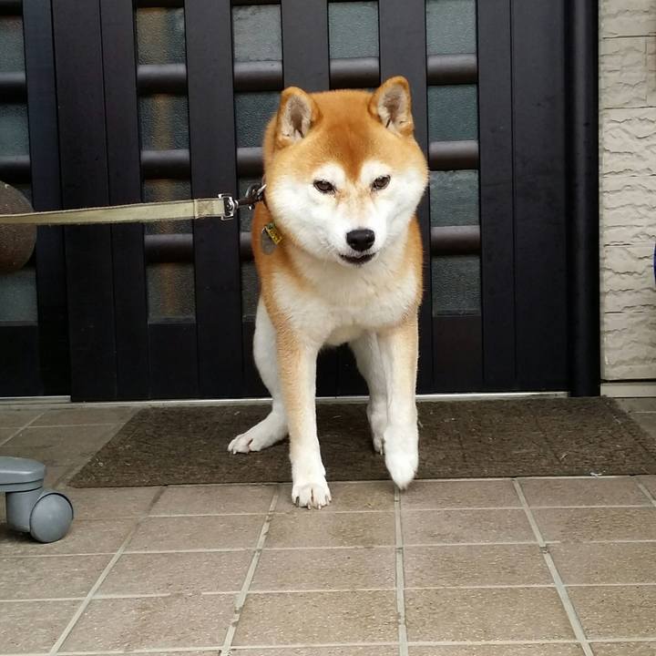 B53f2c6f 39a1 4bd7 ade4 21a6fa7e5fbd