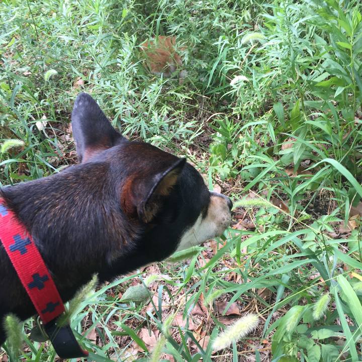 B53f7581 2cc3 4537 b709 8065a00d1cc3