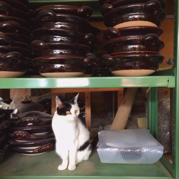 B54005cd b83a 4db5 8e29 353a718ba0fd