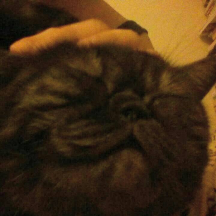 B54035be 4deb 43f9 9f4a b32819c3c9af