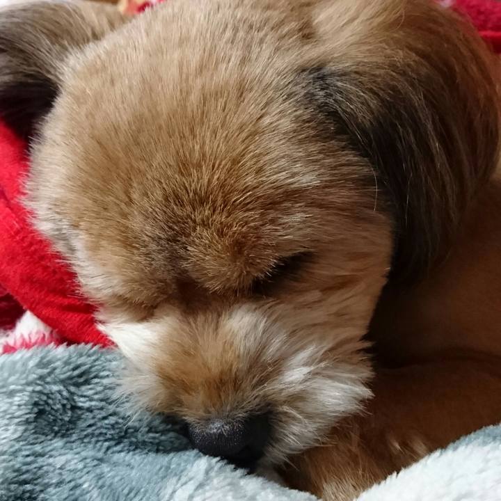 B541b2de d8f7 444c 83fb 317eb6b5f9a0