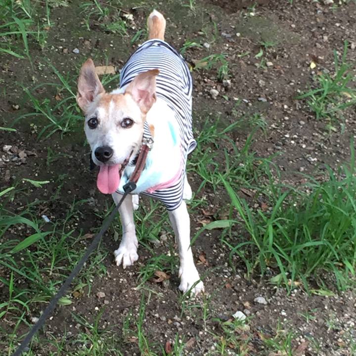 B5422c01 9c63 4395 b298 b6a659094fb9