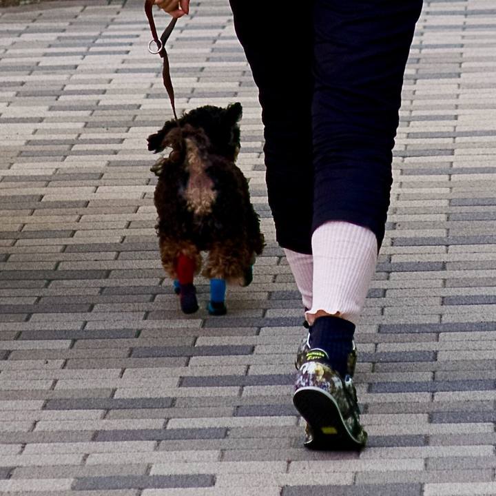 B542eb17 72cd 4f63 a272 d0dc762ffa28