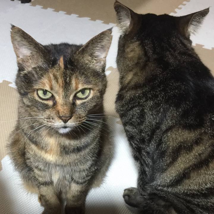 B5431dd1 1afc 4b3e b7d3 ac7526ab11b1