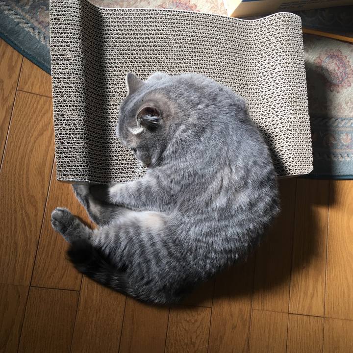 B5439562 d80f 4912 94f9 6f43af301ac0