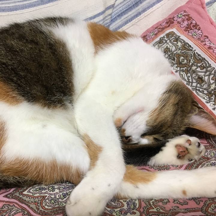 B543f101 b407 44c8 b67c 57ddcb9bca53