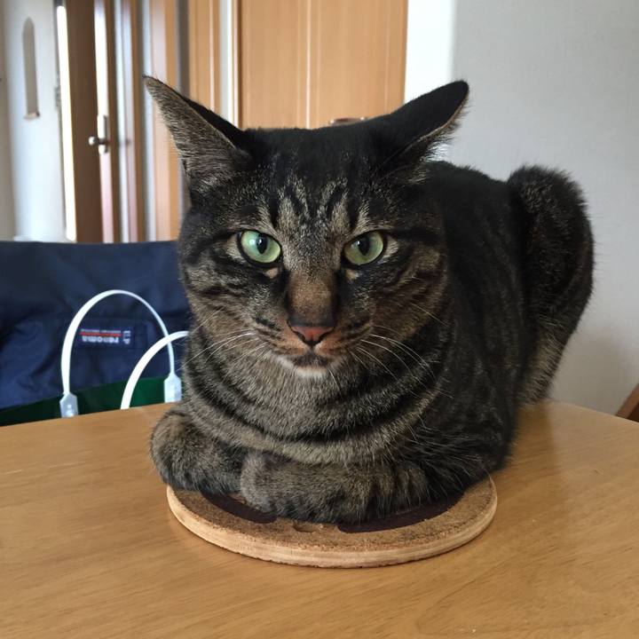 B5455f5c 9240 4eb8 ad09 b1f373ecbf60