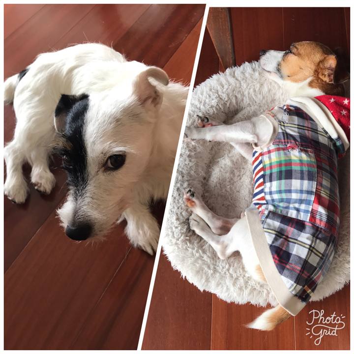 B54567b1 7300 437d 8ab1 f1461f4f499f