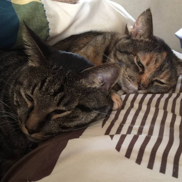 B54594d5 a17f 4da6 8aad 8db8da9810e0